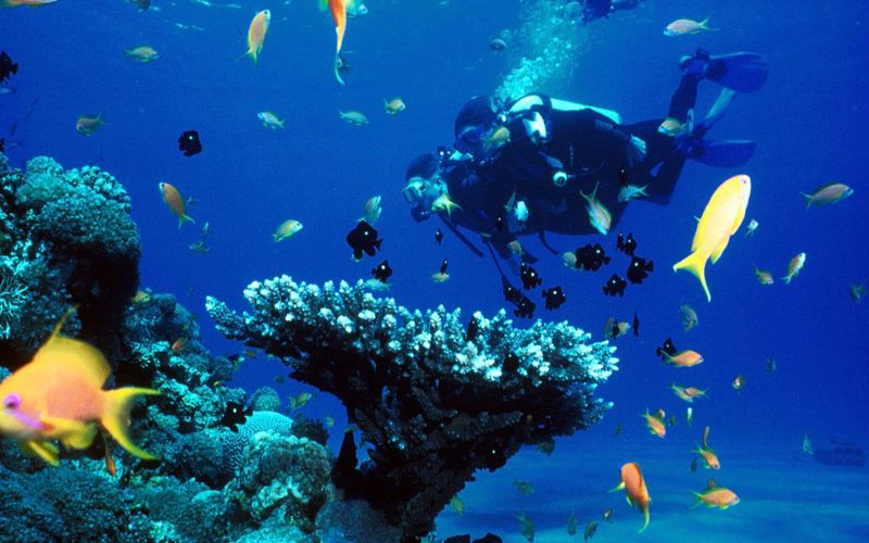Scuba Diving Holiday